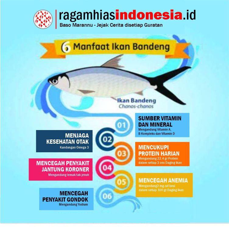Manfaat ikan Bandeng